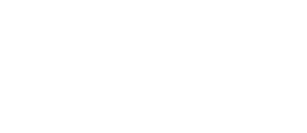Profissas
